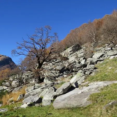 Pizzo